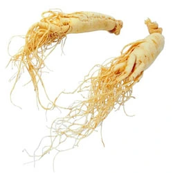 Ginseng Root Extract with Immune-Enhancing Effects Used in Functional Food