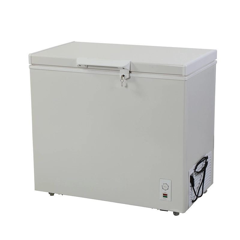 Chest Freezer Brand-Name Compressor&Silent Design of Refrigeration System Top Open Chest Freezer