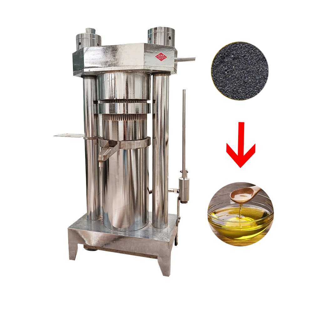 Hot Sale Cold Press Automatic Baobab Seeds Avocado Olive Oil Extraction Machine Sunflower Sesame Oil Expeller Pressers