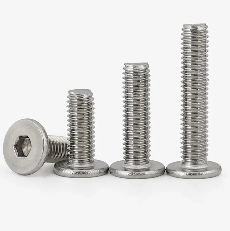 M2 M2.5 M3 M4 M5 M6 M8 Stainless Steel Ss Allen Wafer Ultra Low Profile Thin Flat Head Hexagon Socket Machine Screws