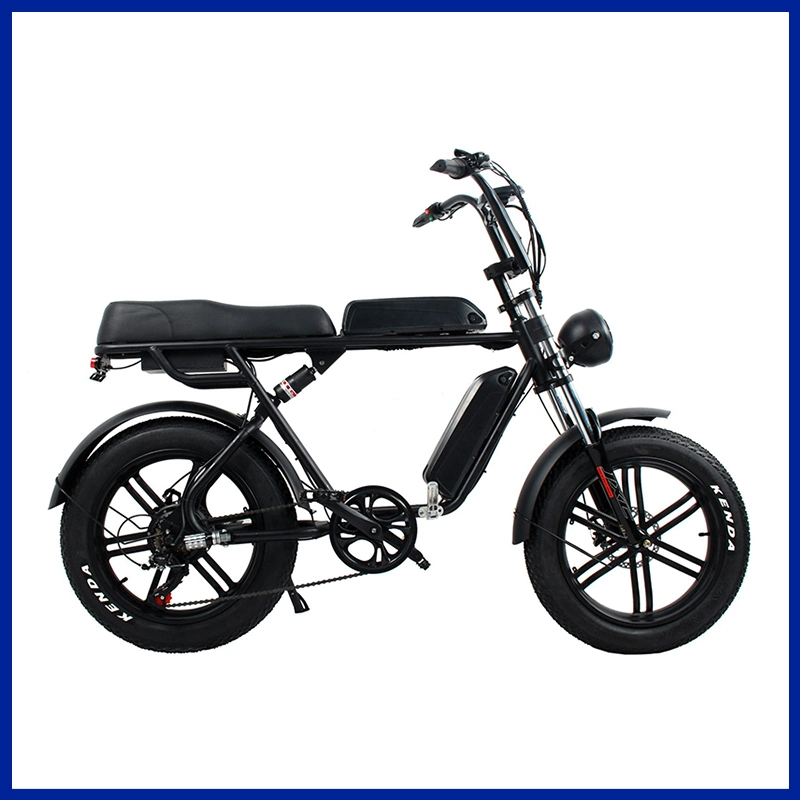 Electric Fat Snowfield Bike for Personal Transportation