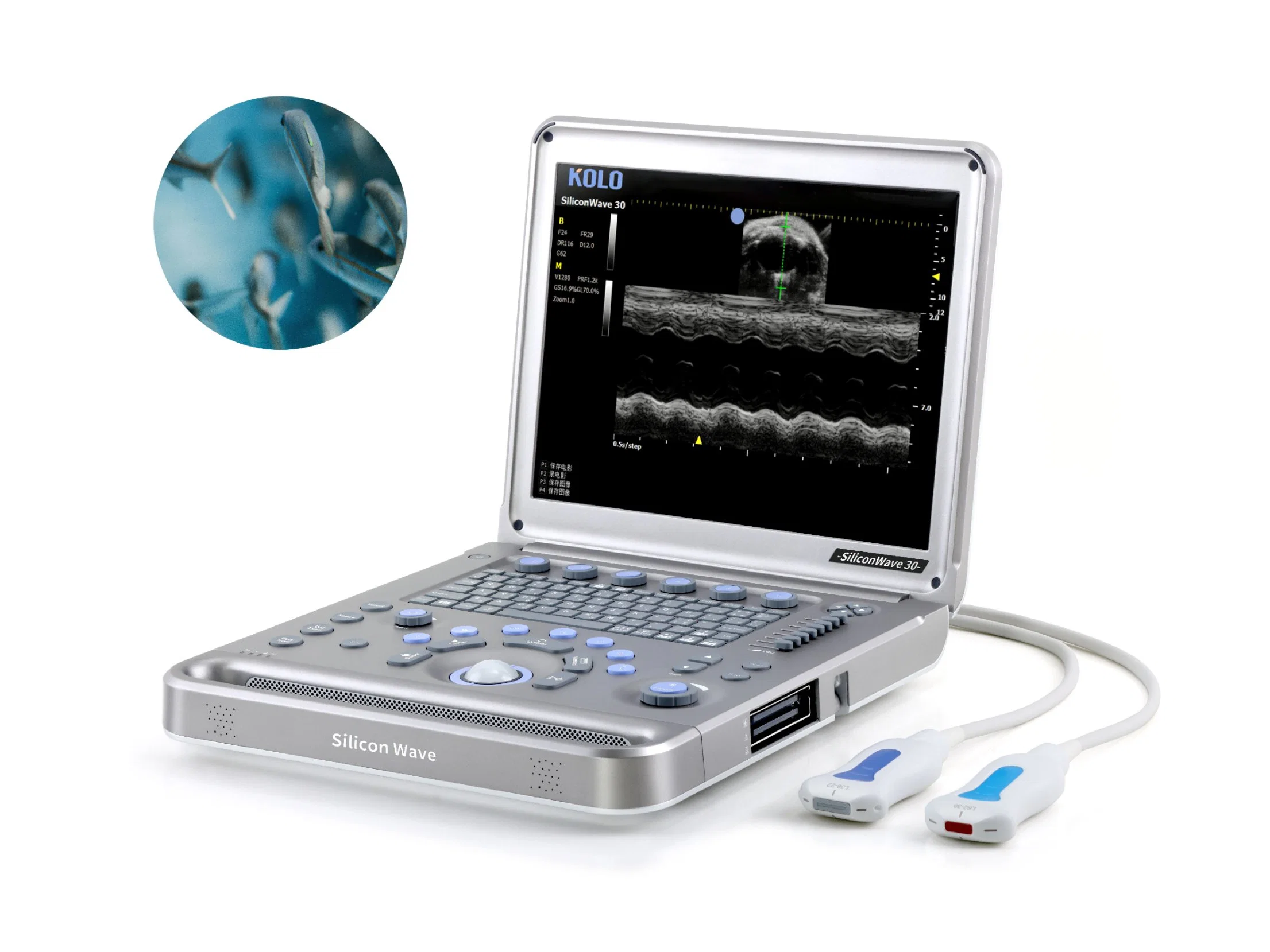 C/PW Mode Handheld Ultrasound Scanner for Laboratory Animals