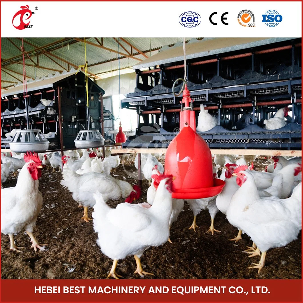 La production de poulets de chair Bestchickencage Bell buveur de la Chine ferme avicole Tétine Factory Échantillon gratuit peut être réglée de la hauteur de tailles différentes buveur de poulet