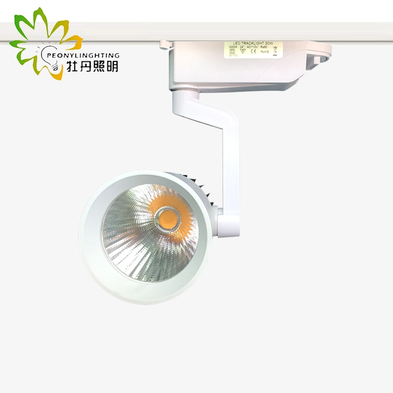 Cheapest 2 Wires COB LED Track Lamp 30W with 24 Degree Beam Angle