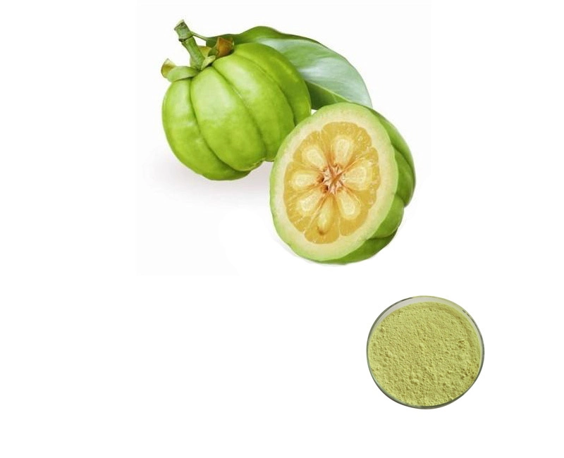 Supply 50% Hydroxycitric Acid Garcinia Cambogia Extract