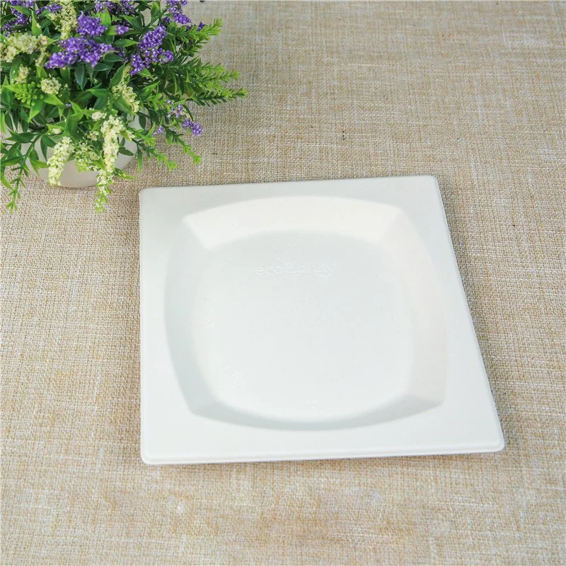 Bagasse Plate Square Plates Rectangle Sugarcane Bagasse White Plate 6/ 8.5/ 10 Inch Disposable Square Plate