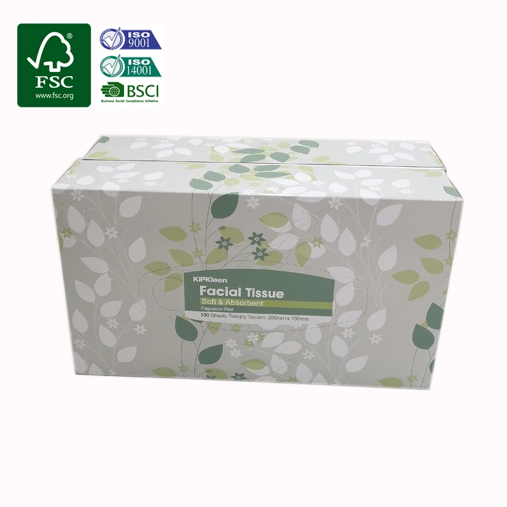 Wholesale/Supplier Cheap Price Flat Box Big Soft Plastic Pack Cube Box Paper Facial Tissue