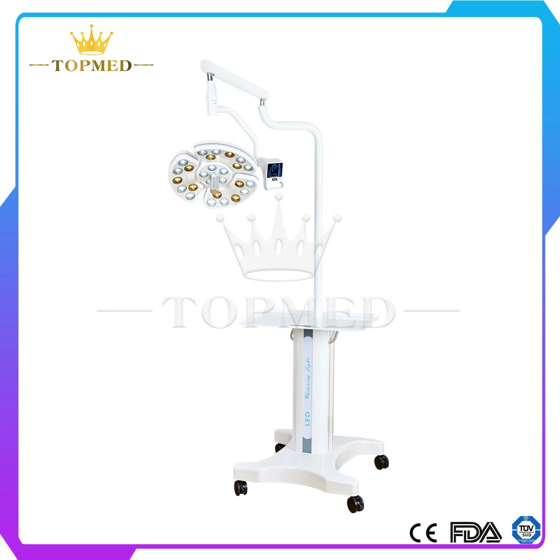 Medical Equipment Dental Instrument Dental Shadowless Implant Surgery LED Lamp