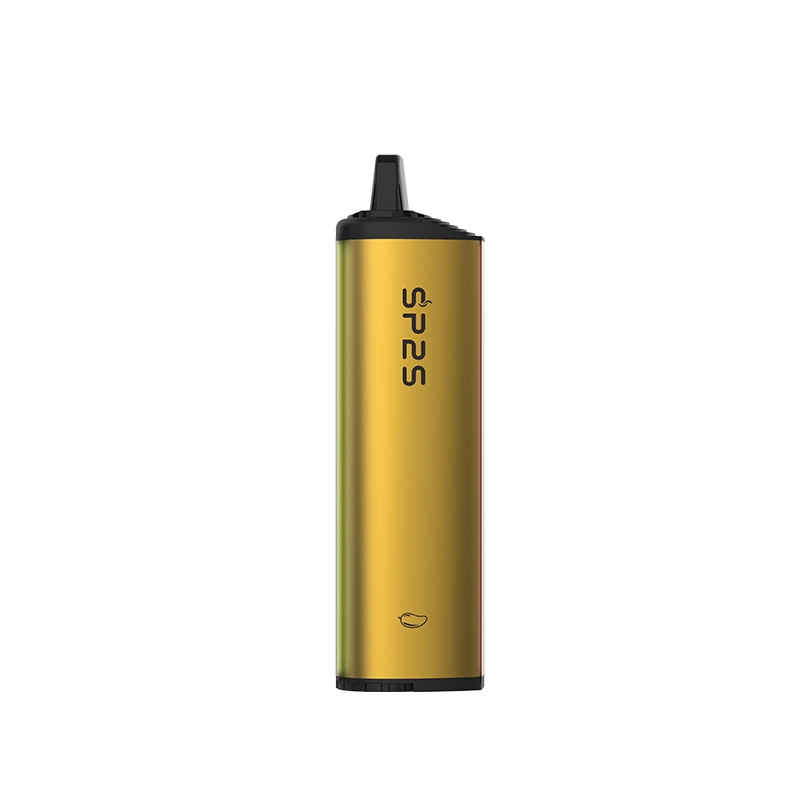 Sp2s 2022 Debut Wi 12ml Ejuice 5000 Puffs Type-C Rechargeable Airflow Adjustable Disposable/Chargeable Vape