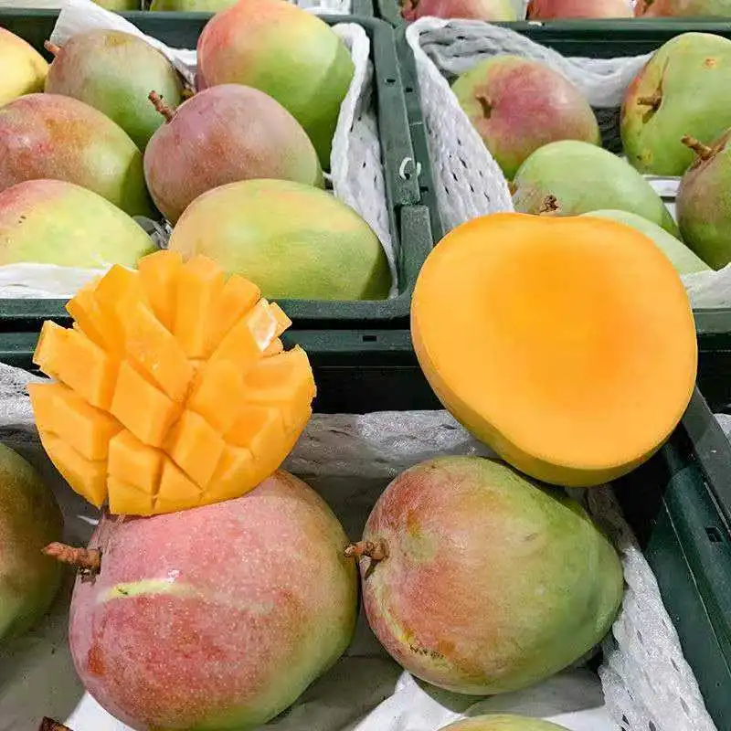 A Austrália Mango Giant Mango Frutas secas Mango Mango Slice Frutas Frescas com certificação FDA Apple Limão Uva