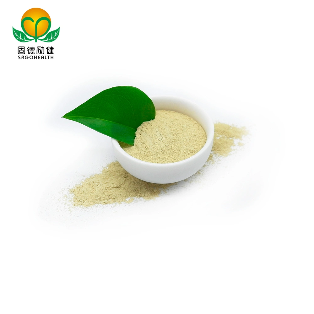 Factory Direct Supply Pure Sophora Japonica Extract Powder Rutin CAS No153-18-4