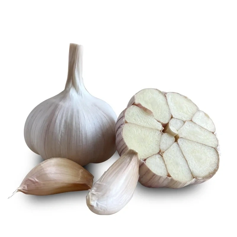 New Harvest Fresh Garlic (Normal White Garlic/Pure White Garlic) From China, Wholesale/Supplier Price