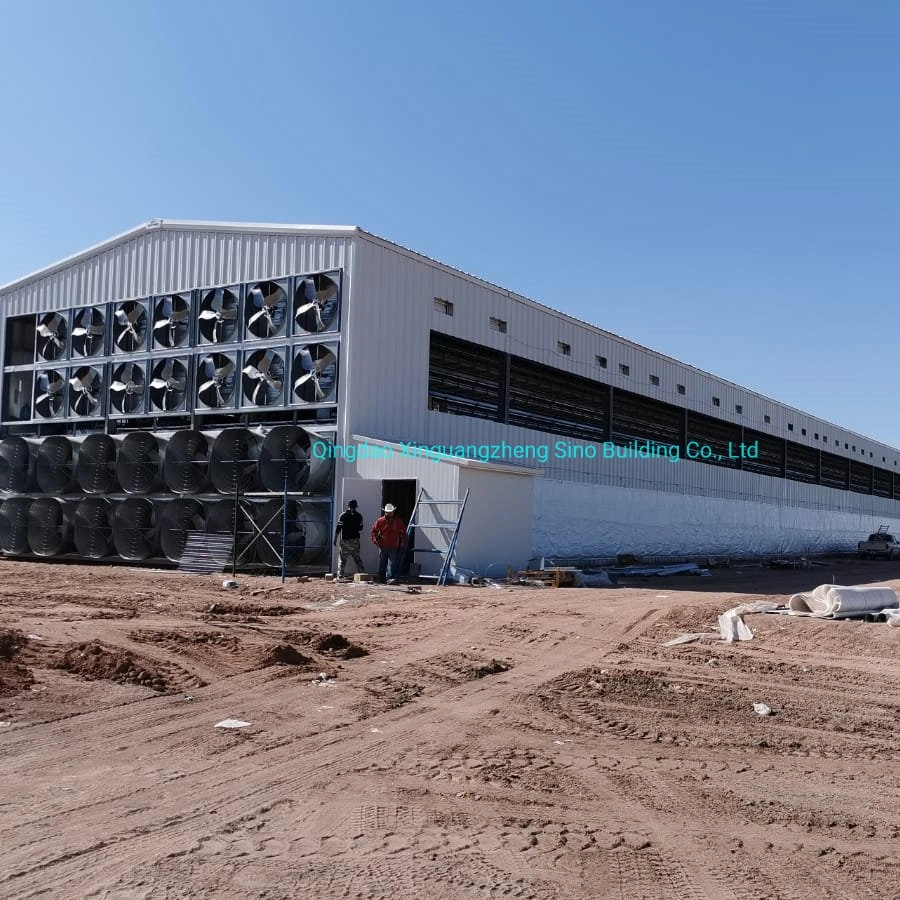 Sistema de alimentação automática estrutura de estrutura de aço prefabricada Industrial Chicken House Avícula Fazenda abrigo