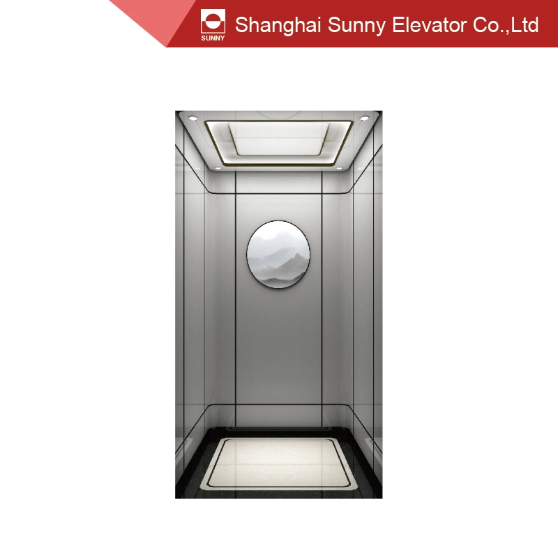 Home Elevator Ceiling Steel Plate Baking Paint and LED Lighting