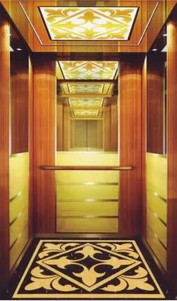 Passenger Elevator and Home Lift by Sicher