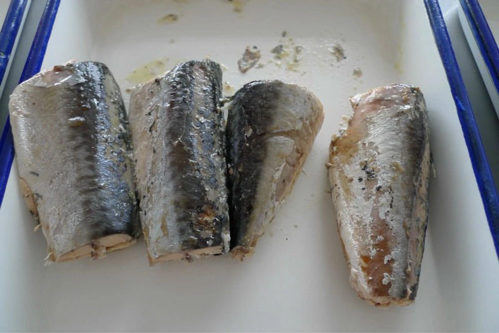 425g Canned Mackerel in Oil with Best Price