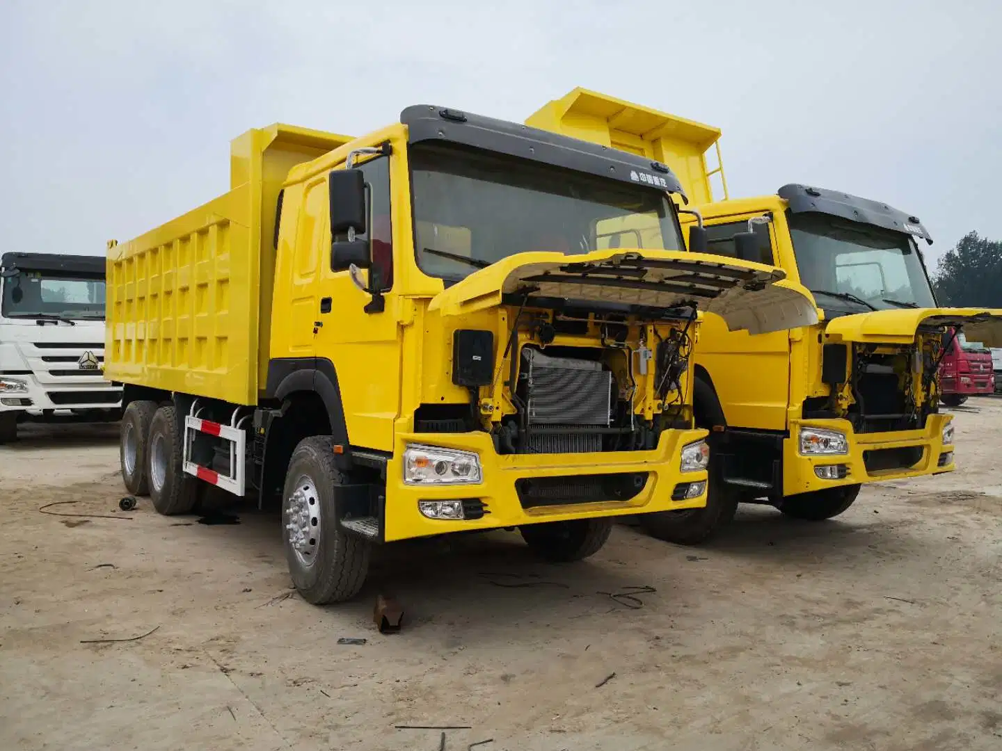 Segunda mão HOWO usado caminhão basculante com o motor de 336 HP