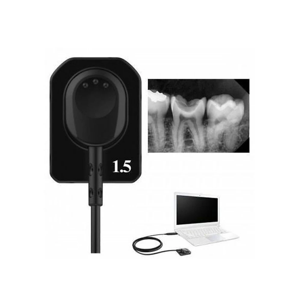 D042n Rvg Dental Xray Intraoral X-ray Sensor Machine Portable Dental Digital X Ray Sensor