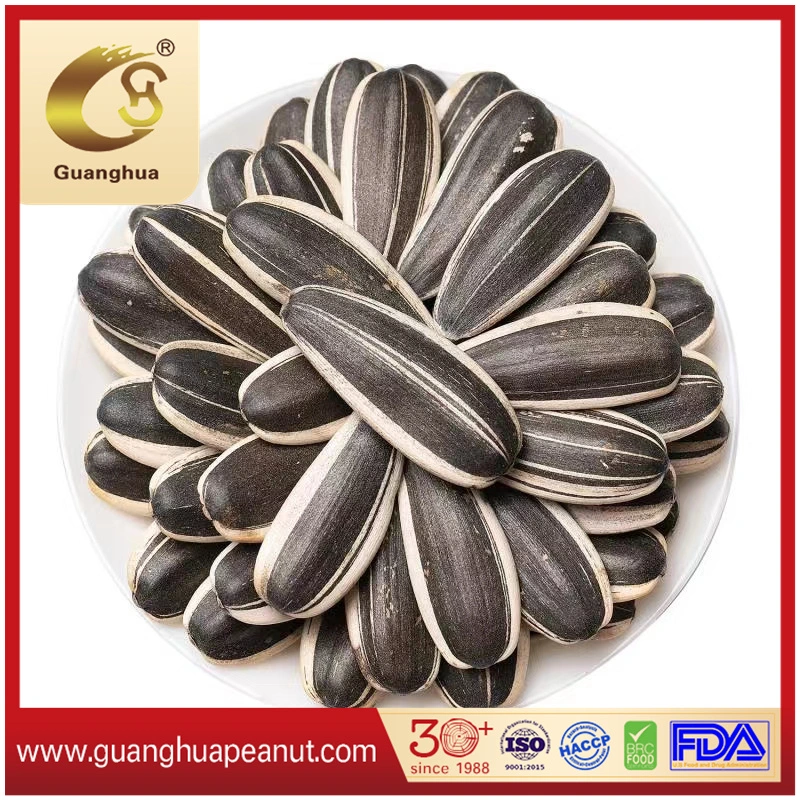 Best Quality 2021 Sunflower Seeds