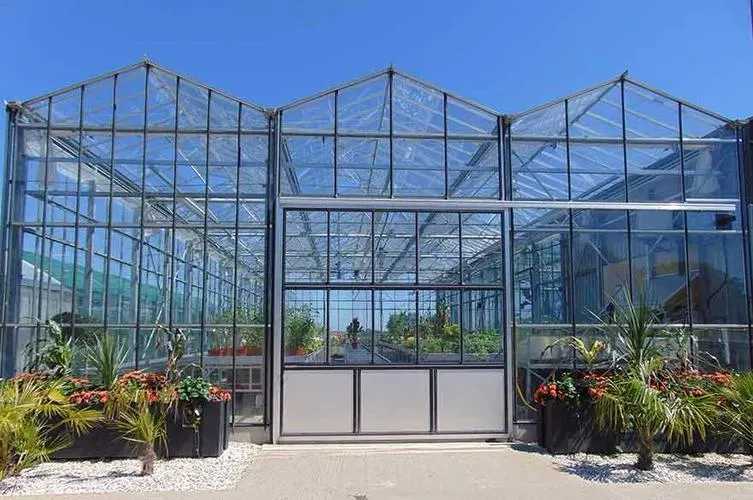 Serre de verre avec système de culture hydroponique pour légumes/ fleurs/ tomates/ Ferme/jardin/Agriculture