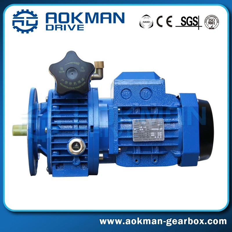 Certified Udl B5 Flange Mounted Variable Speed Gear Motor