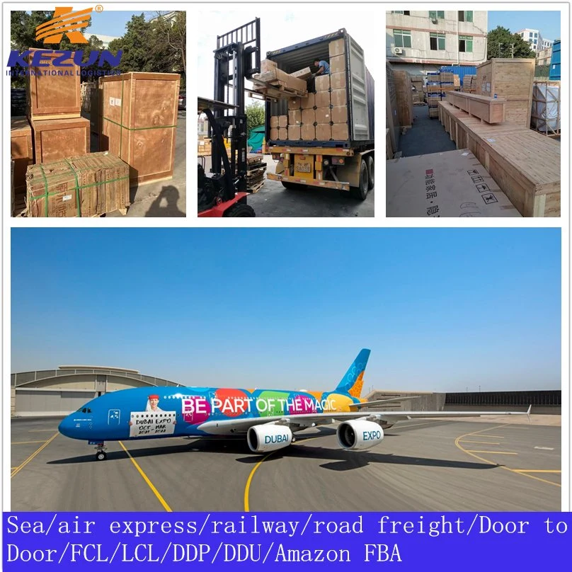 Professional Logistics Sea/Ocean Freight Shipping Company From China to Seychelles with Customs Tax/Duty