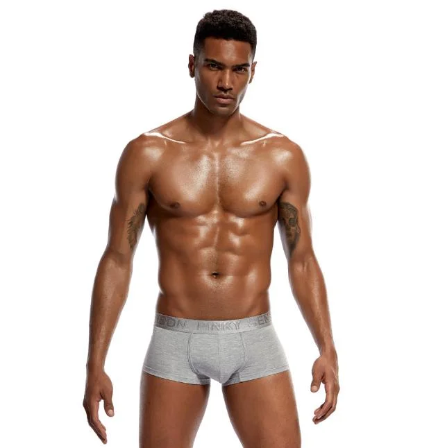 Herren Unterwäsche Boxer Slip atmungsaktive No Ried Up Slips