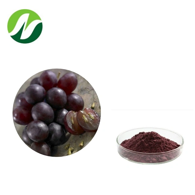 Top Quality Hot Sale 95% Proanthocyanidins (UV) Grape Seed Extract