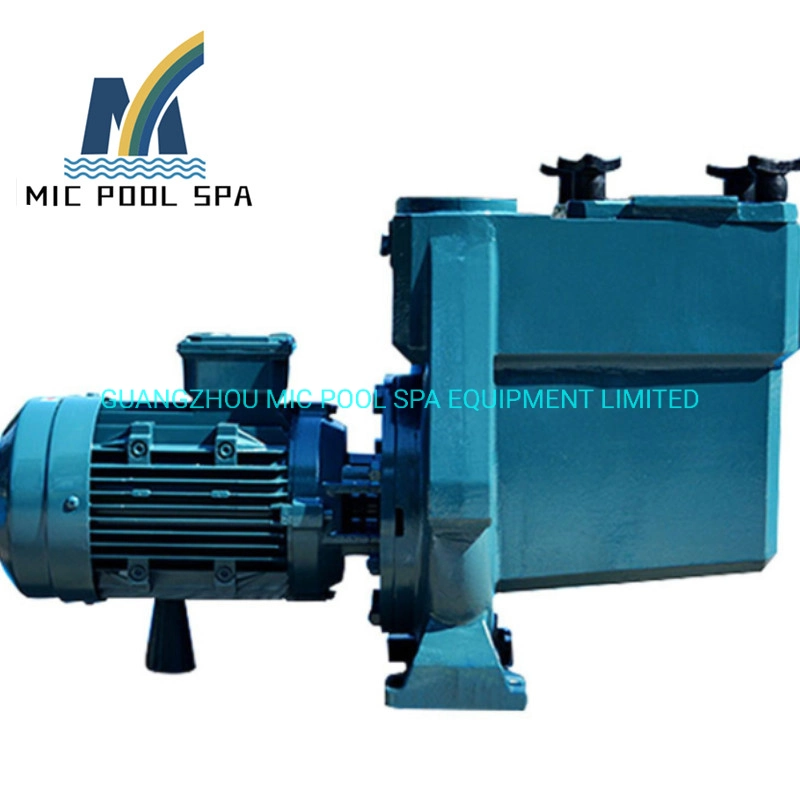 Small Circulating Steel Water Pump 50Hz High Pressure Electric Swimming Pool Pumps for Commercial Pool
