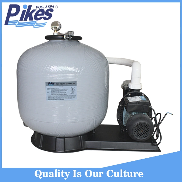 Intergrated Swimming Pool Filter Plus Pump Equipment