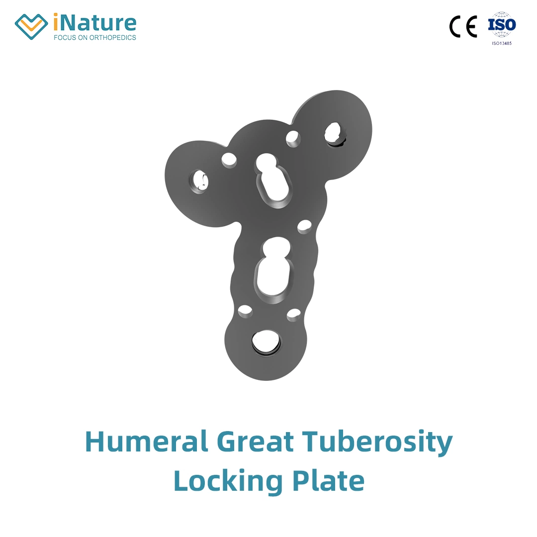 Orthopedic Implants Humeral Great Tuberosity Locking Plate with CE&ISO