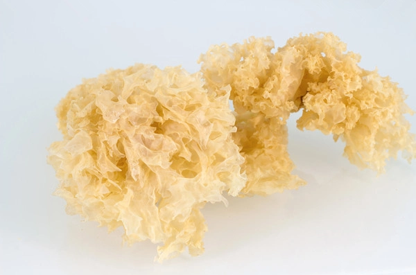 High quality/High cost performance  Dried White Fungus Snow Fungus Factory Price Whole Tremella