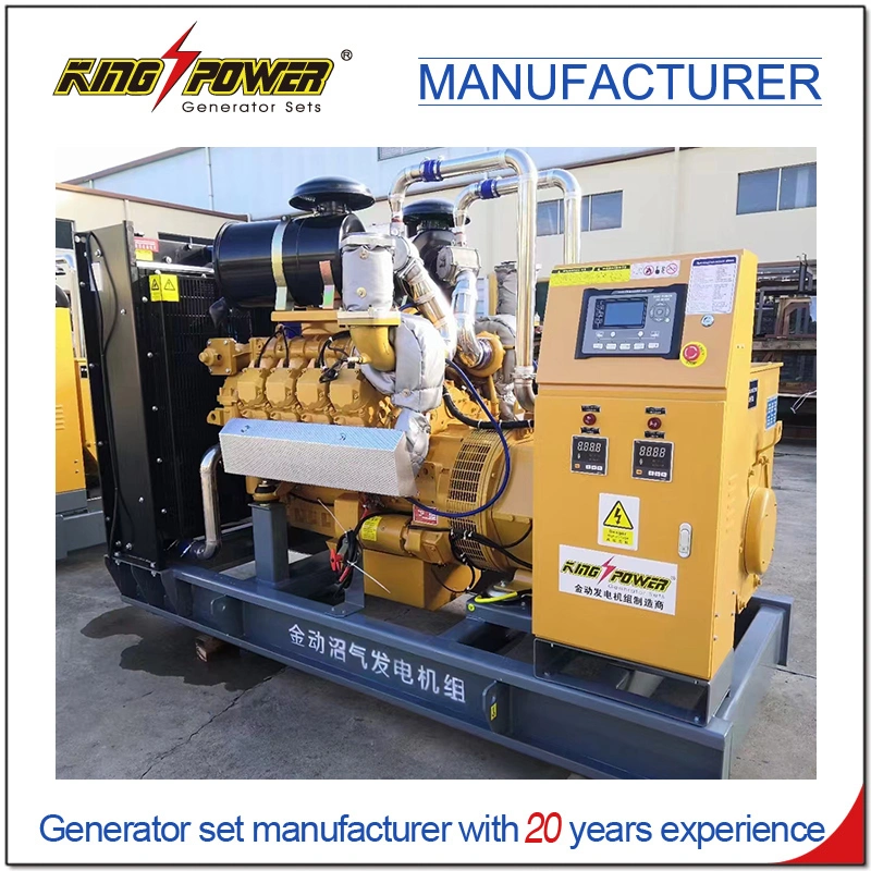 Professional Supplier of 610kw Factory Use Silent Natural Gas Biogas CNG LNG LPG Generator