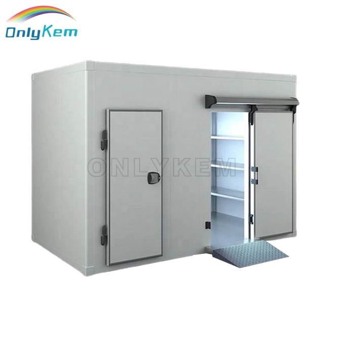 Armazenamento Comercial frio Walk in freezer para armazenamento de alimentos