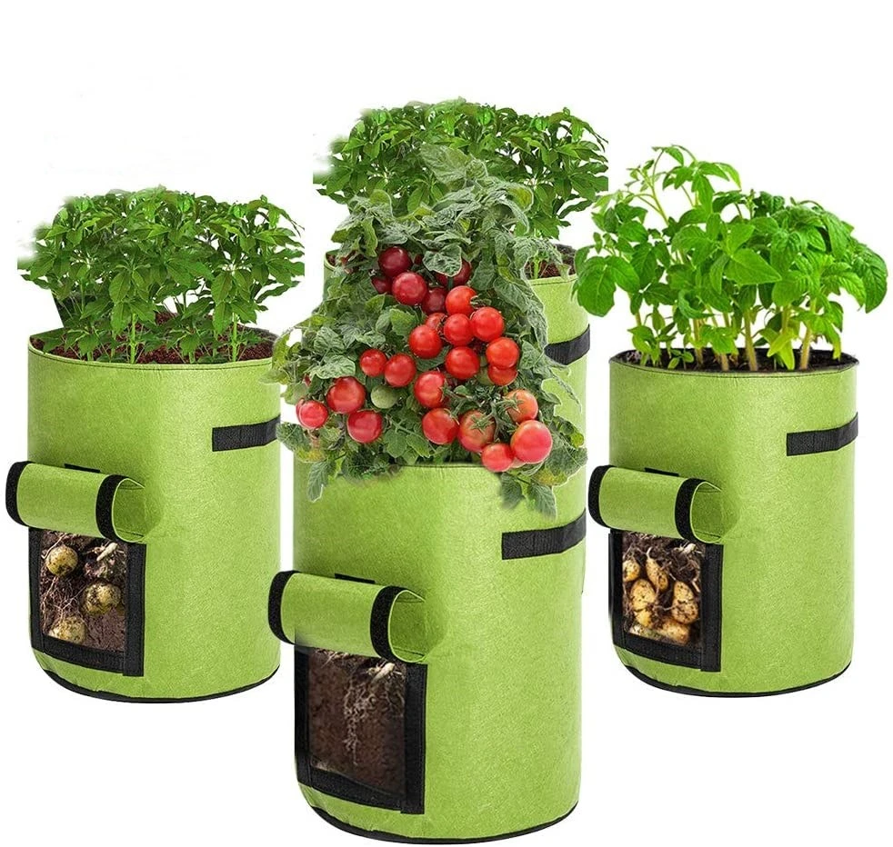 Crecen las bolsas de tela Maceta planta vegetal