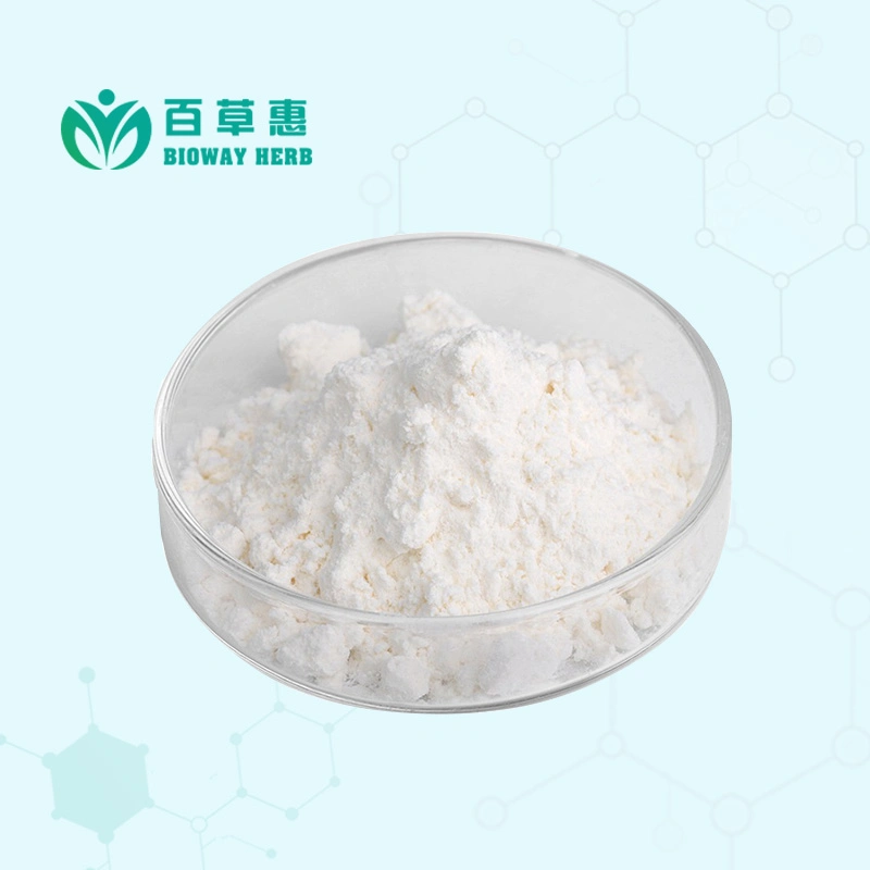 Main Products Hot Selling Lidocaine Base