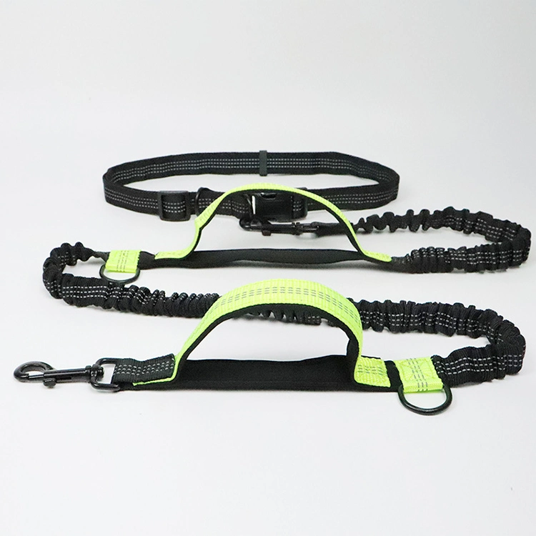 Pet Leash Multifunctional Running Reflective Double