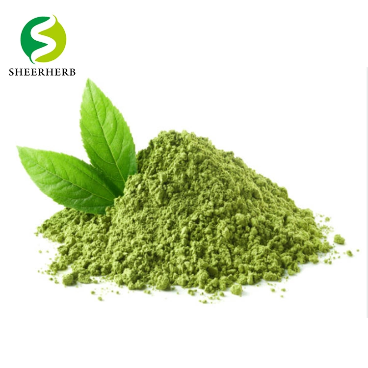 Matcha العضوي، وهو غذاء خارق مع البوليفينول كلوروفيل والكلوروفيل ولتر ثاين ماتشا، مسحوق الشاي الأخضر