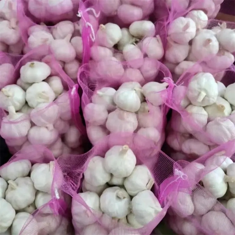 Farm Garlic: Red and White Varieties - Freshness and Quality You Can Trust