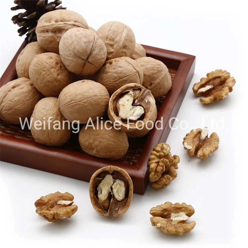 China Made Bulk Quality 28mm/30mm/32mm up Walnut in Shell Xinjiang Walnut