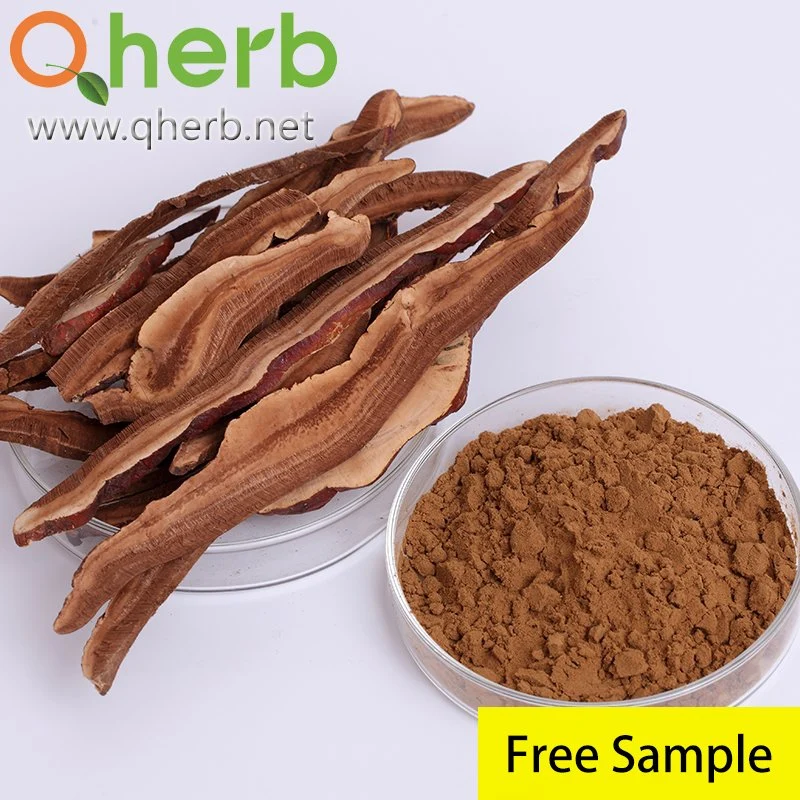 Ganoderma Lucidum Extract Lingzhi of 20% Free Sample