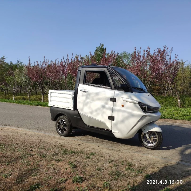 EEC Coc Closed Cabin 2 Seater 3kw 105ah/206ah LiFePO4 Battery Electric Motorized Tricycles Cargo Car