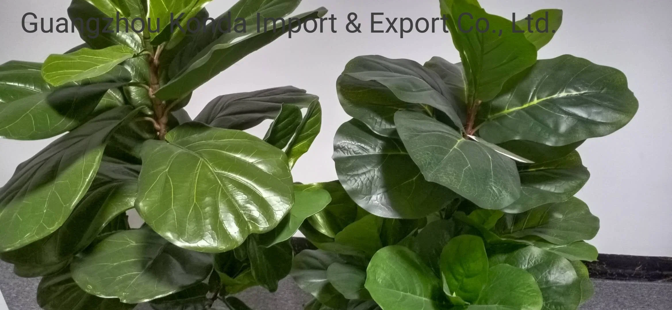 Plastic Lyrata Plant Artificial Bonsai Fiddle Leaf Fig Tree