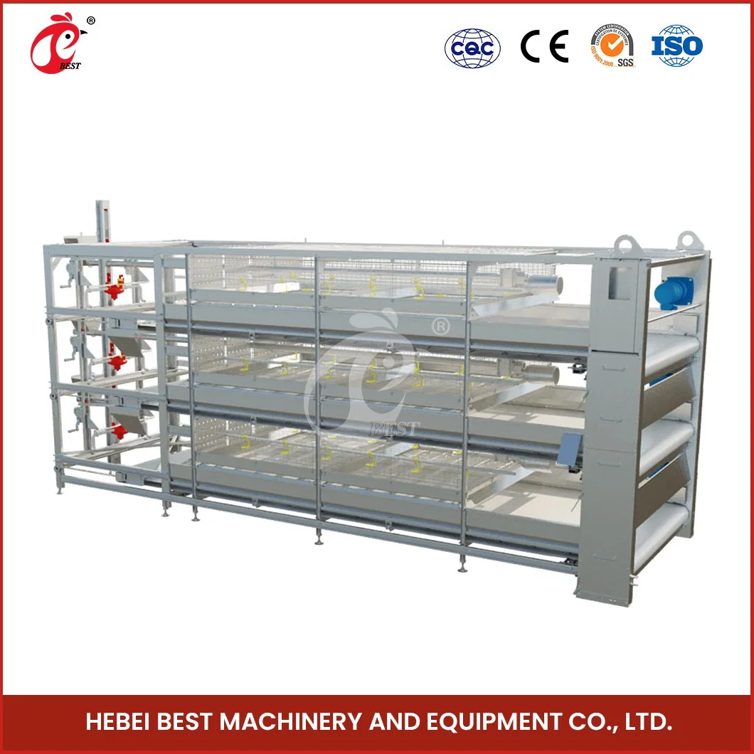 Bestchickencage China Plastic Chicken House Suppliers H Frame Automatic Boriler Cages OEM Custom Felt Material Chicken Cage Manufacturer