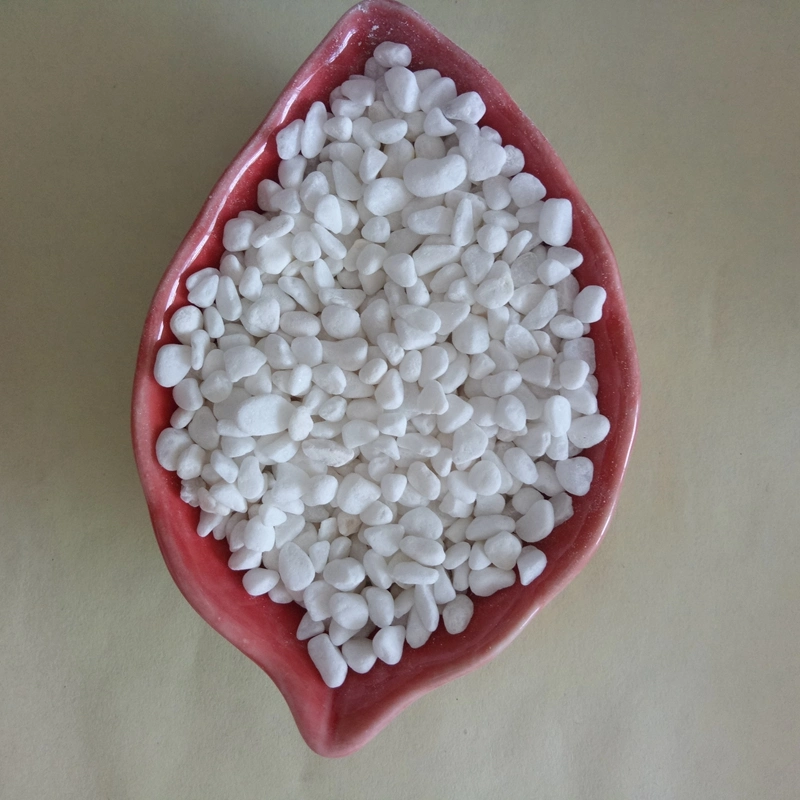 Small Pure White Pebbles/Cobblestone with Low Price