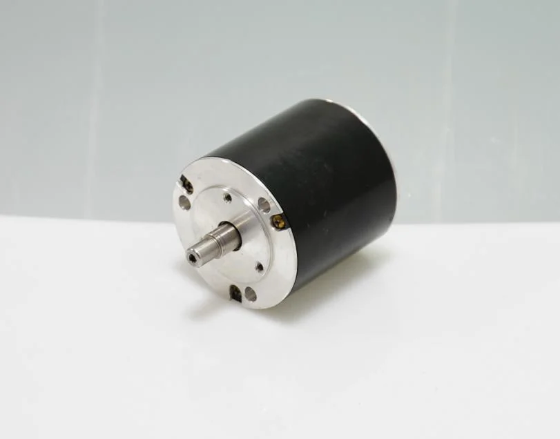 24V 120W Electric BLDC Brushless DC Motor with Controller