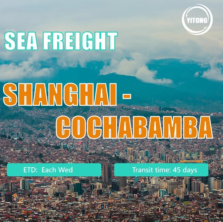 Seefracht von Qingdao nach Cochabamba