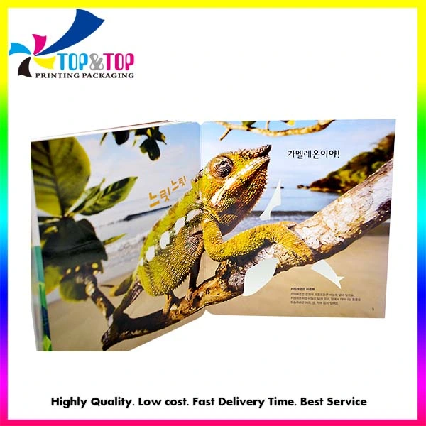 Factory Custom Children Cardboard Chameleon Animal Natural Science Book Magic Book Printing Service