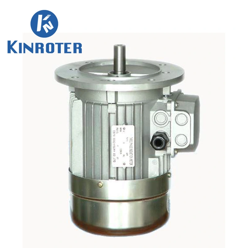 Ms/Ys/Ye2 Series Aluminium High Eifficiency Three Phase Asynchronous Induction Electric Motor