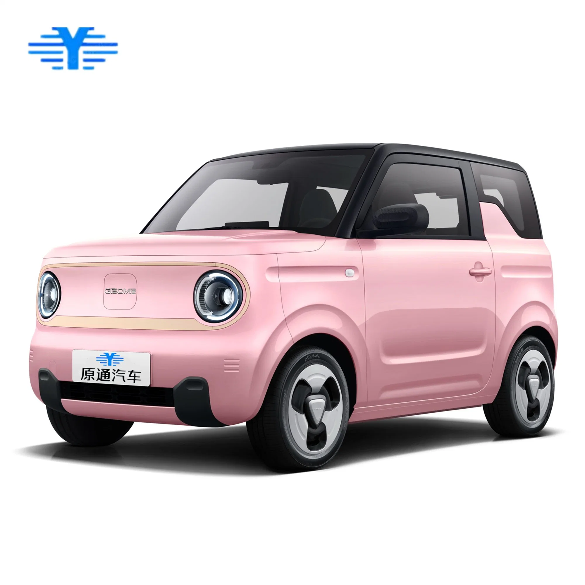 Best Car for Under 5000 Geely Panda Mini EV Car Small Electric Vehicle Very Cute and Harmless Super Value Special Offer